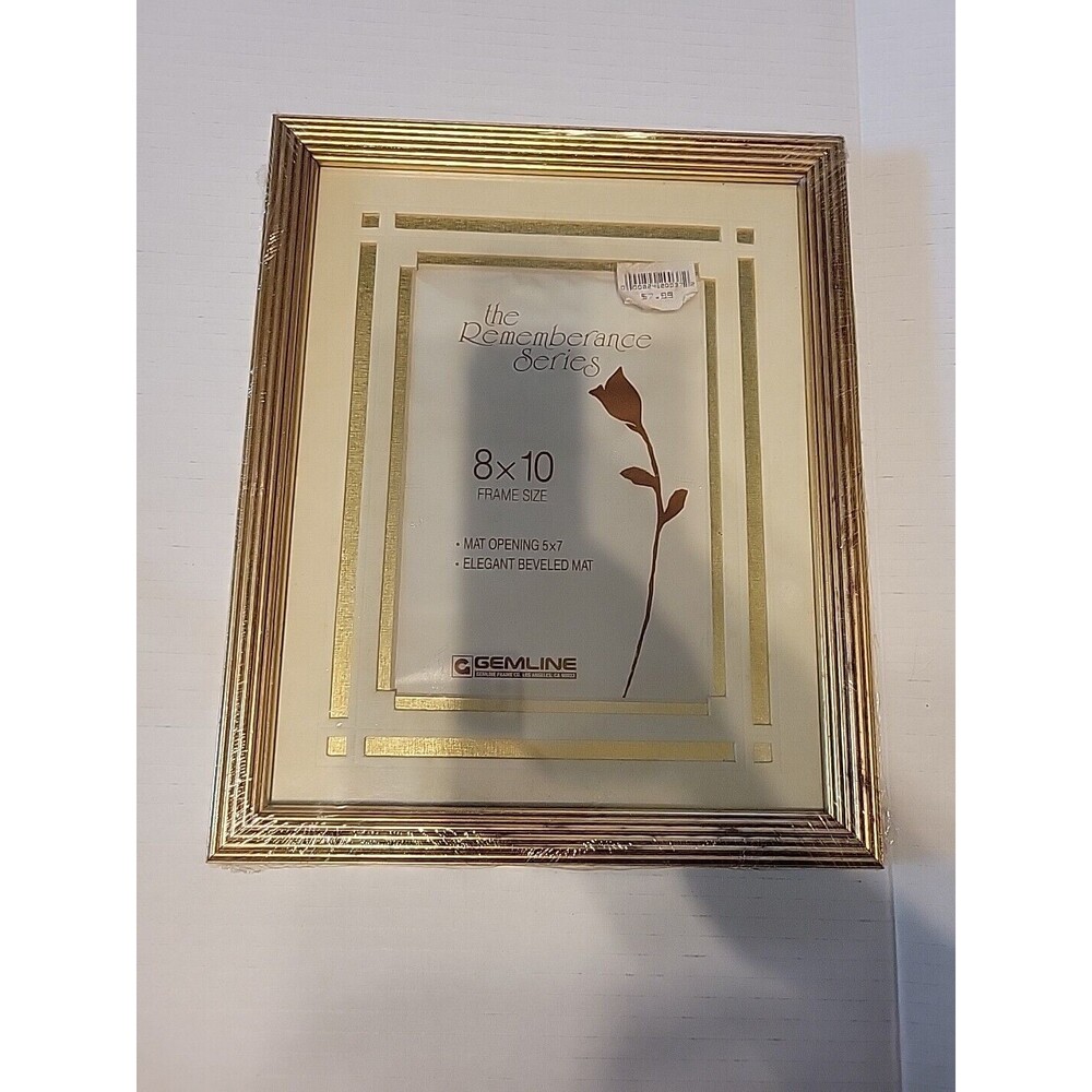 Vintage Gemline 8x10 Picture Frame The Remberance Series Mat Opening 5x7 NOS